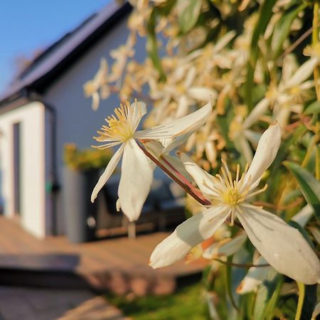 Hastings Casita, 'Little House' Self Contained Garden Lodge, Close To Town And Seafront Dış mekan fotoğraf