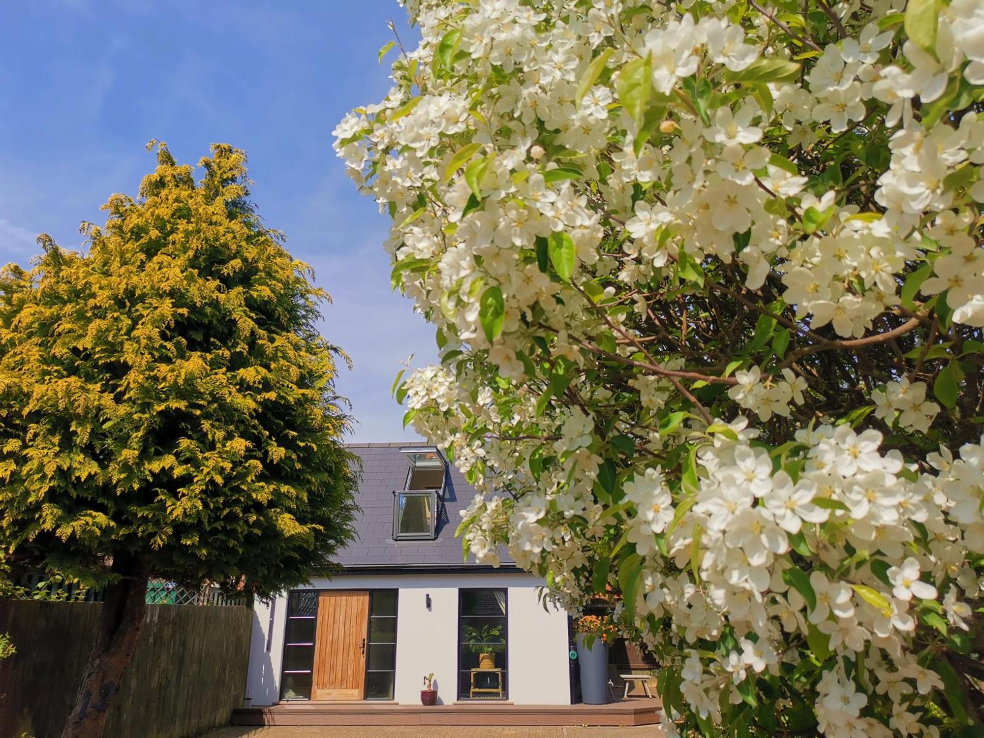 Hastings Casita, 'Little House' Self Contained Garden Lodge, Close To Town And Seafront Dış mekan fotoğraf